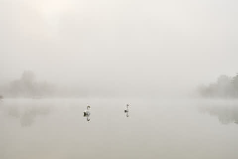 Gemeinde Marktl Landkreis Altötting Badesee Herbst Morgennebel (Dirschl Johann) Deutschland AÖ